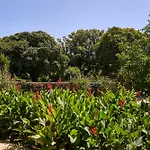 Solar De Lantgård Vilar Seco
