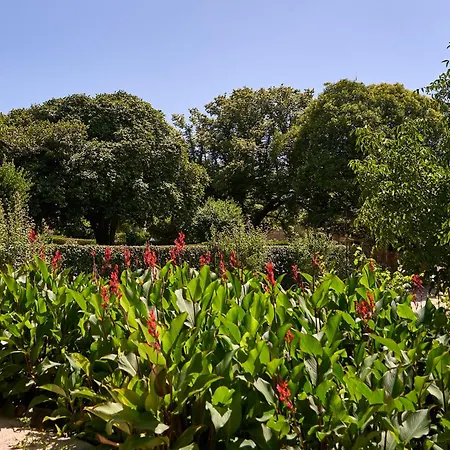 Solar De Farm stay Vilar Seco