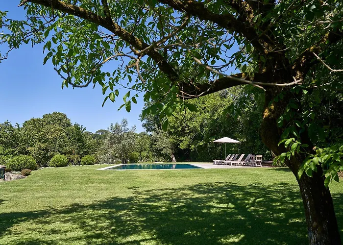 Solar De Vilar Seco Farm stay *