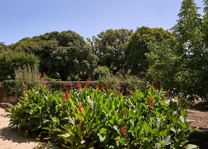 Solar De Vilar Seco Farm stay Vilar Seco