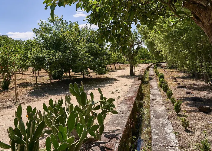 Farm stay Solar De Vilar Seco Vilar Seco