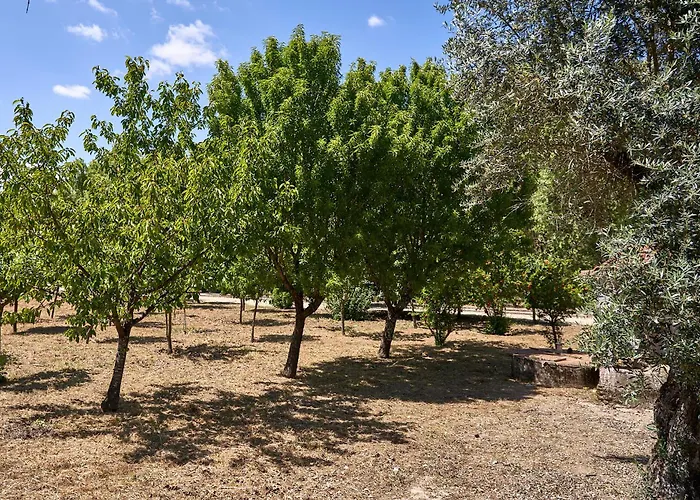 Farm stay Solar De Vilar Seco